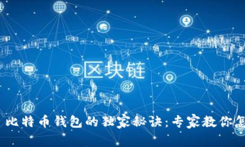 MetaMask 比特币钱包的独家秘诀：专家教你怎么安全使用