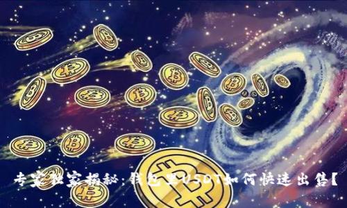 专家独家揭秘：钱包里USDT如何快速出售？