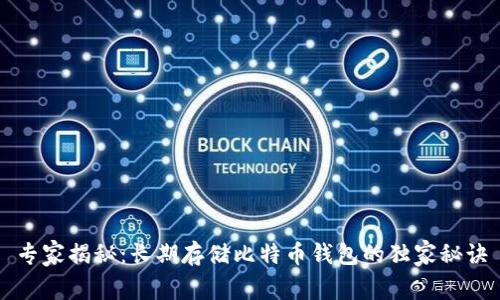 专家揭秘：长期存储比特币钱包的独家秘诀