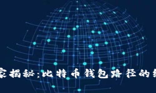 专家独家揭秘：比特币钱包路径的终极秘诀