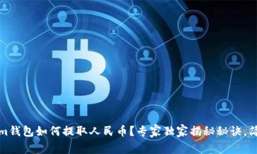 Tokenim钱包如何提取人民币？专家独家揭秘秘诀，简单易懂