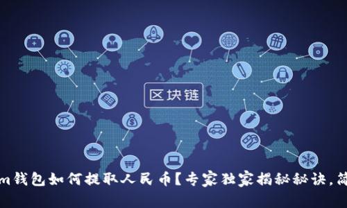 Tokenim钱包如何提取人民币？专家独家揭秘秘诀，简单易懂
