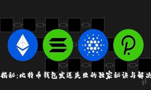 专家揭秘：比特币钱包发送失败的独家秘诀与解决方案