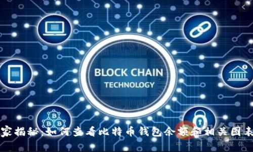 专家独家揭秘：如何查看比特币钱包余额和相关图表的秘诀