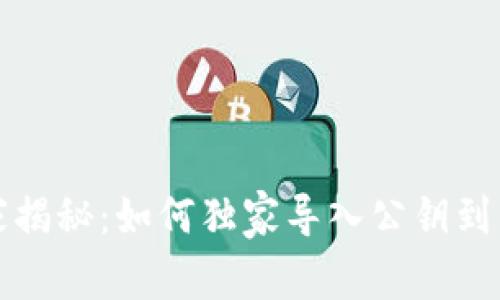 比特币专家揭秘：如何独家导入公钥到钱包的秘诀