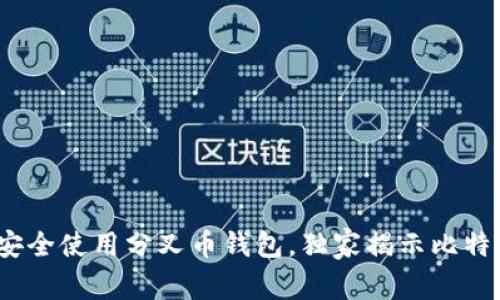 专家揭秘：如何安全使用分叉币钱包，独家揭示比特社区的投资秘诀