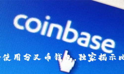 专家揭秘：如何安全使用分叉币钱包，独家揭示比特社区的投资秘诀