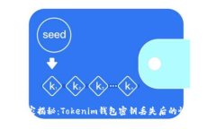 专家独家揭秘：Tokenim钱包