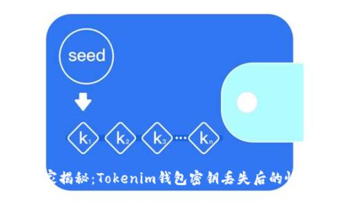 专家独家揭秘：Tokenim钱包密钥丢失后的恢复秘诀！
