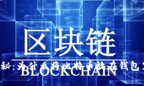 比特币专家独家揭秘：为什么将比特币放在钱包里是你的最佳选择？