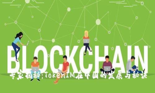 专家揭秘：TokenIM在中国的发展与秘诀