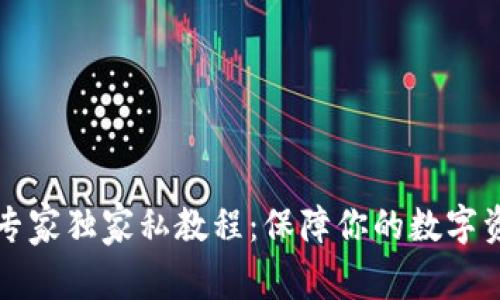 比特币冷钱包专家独家私教程：保障你的数字资产安全的秘诀