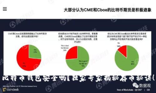 比特币钱包安全吗？独家专家揭秘存币秘诀！