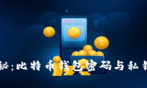 专家独家揭秘：比特币钱包密码与私钥的终极秘诀