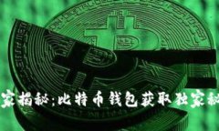 专家揭秘：比特币钱包获