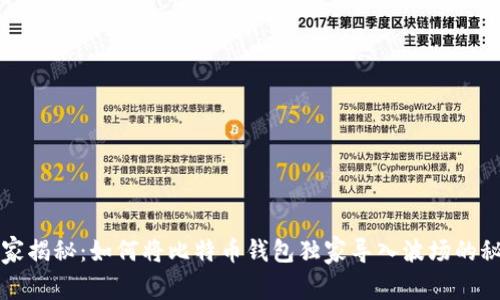 专家揭秘：如何将比特币钱包独家导入波场的秘诀