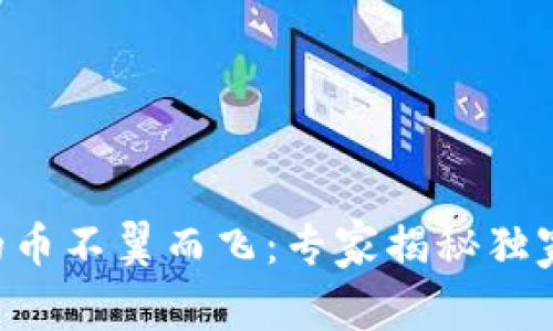 虚拟钱包的币不翼而飞：专家揭秘独家防盗秘诀！