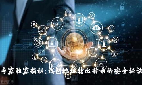 专家独家揭秘：钱包地址转比特币的安全秘诀