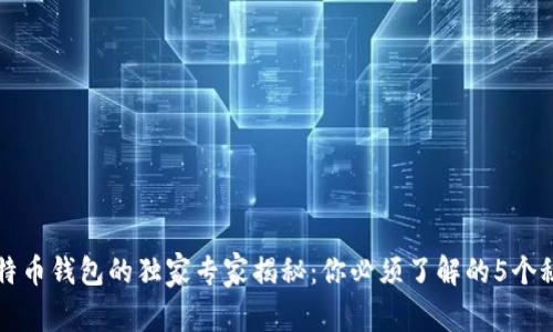 比特币钱包的独家专家揭秘：你必须了解的5个秘诀