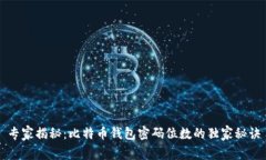 专家揭秘：比特币钱包密