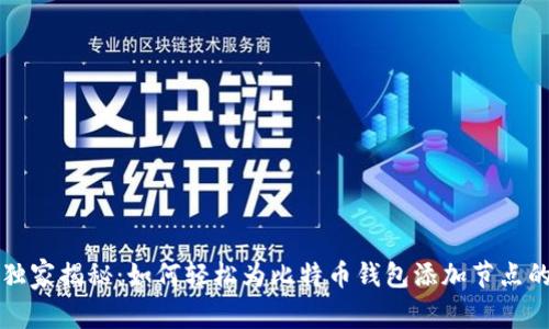 专家独家揭秘：如何轻松为比特币钱包添加节点的秘诀