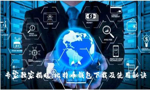 专家独家揭晓：比特币钱包下载及使用秘诀