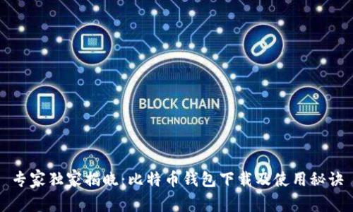 专家独家揭晓：比特币钱包下载及使用秘诀