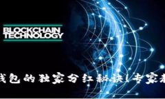 揭秘比特币钱包的独家分