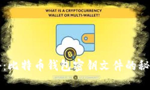 专家独家揭秘：比特币钱包密钥文件的秘密与保管秘诀