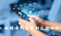 专家独家揭秘：比特币钱