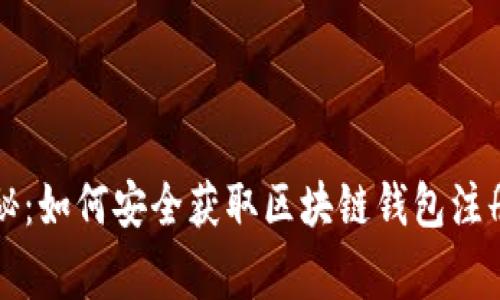 专家独家揭秘：如何安全获取区块链钱包注册地址的秘诀