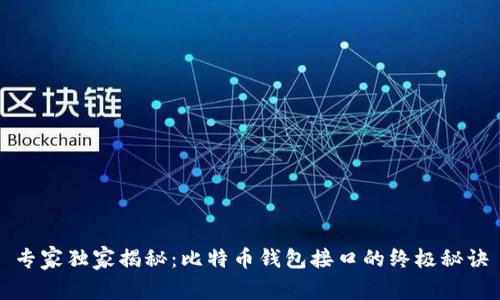 专家独家揭秘：比特币钱包接口的终极秘诀