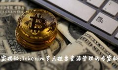 独家揭秘：Tokenim节点投票