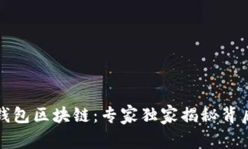 小贝壳钱包区块链：专家独家揭秘背后的秘诀
