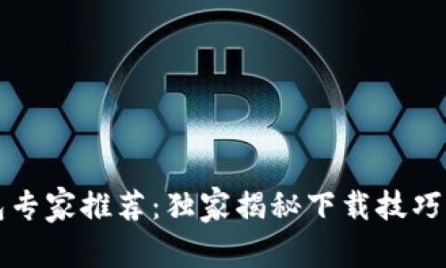 比特币钱包专家推荐：独家揭秘下载技巧与安全秘诀