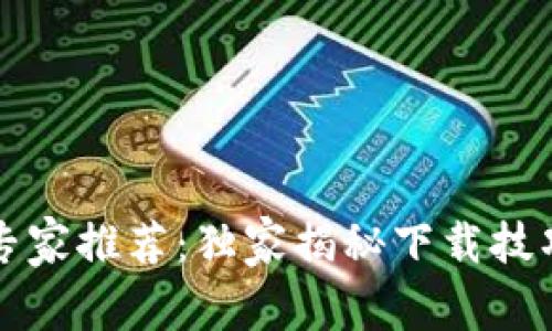 比特币钱包专家推荐：独家揭秘下载技巧与安全秘诀