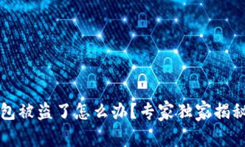 比特币钱包被盗了怎么办？专家独家揭秘应对秘诀