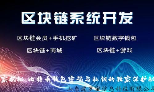 专家揭秘：比特币钱包密码与私钥的独家保护秘诀