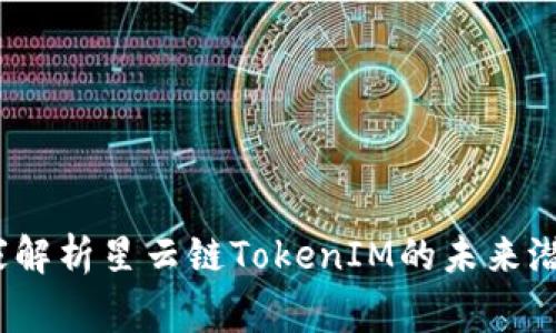 独家揭秘：专家解析星云链TokenIM的未来潜力与投资秘诀