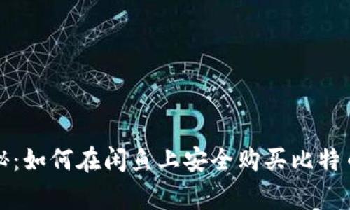 独家专家揭秘：如何在闲鱼上安全购买比特币钱包的秘诀