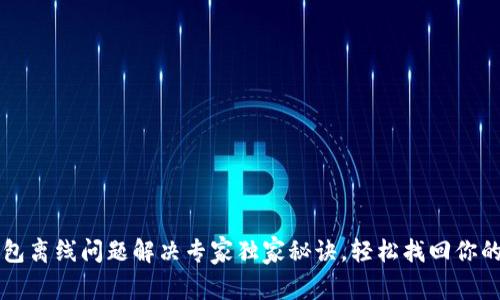 以太坊钱包离线问题解决专家独家秘诀，轻松找回你的数字资产