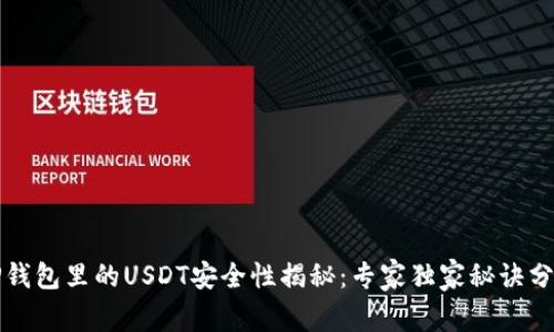 TP钱包里的USDT安全性揭秘：专家独家秘诀分享