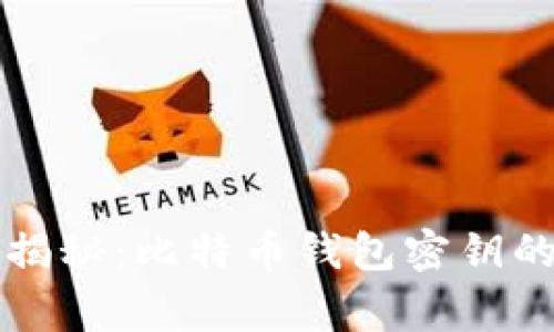 专家独家揭秘：比特币钱包密钥的隐藏秘诀