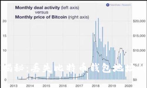 专家独家揭秘：丢失比特币钱包地址的应急秘诀