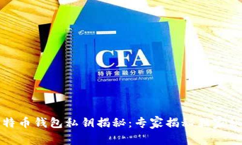 比特币钱包私钥揭秘：专家揭秘独家秘诀