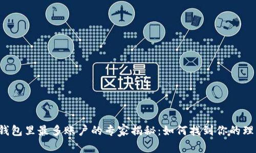 比特币钱包里最多账户的专家揭秘：如何找到你的理想钱包？