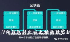 专家解析：V神钱包转出以
