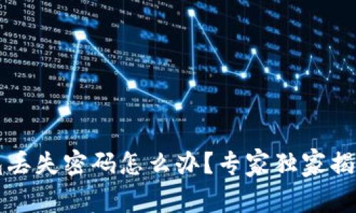 比特币钱包丢失密码怎么办？专家独家揭秘找回秘诀