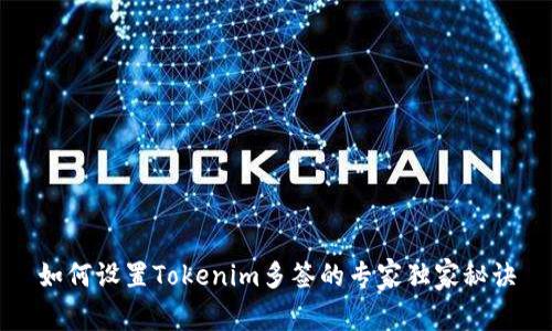 如何设置Tokenim多签的专家独家秘诀