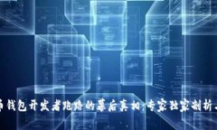 揭秘虚拟币钱包开发者跑